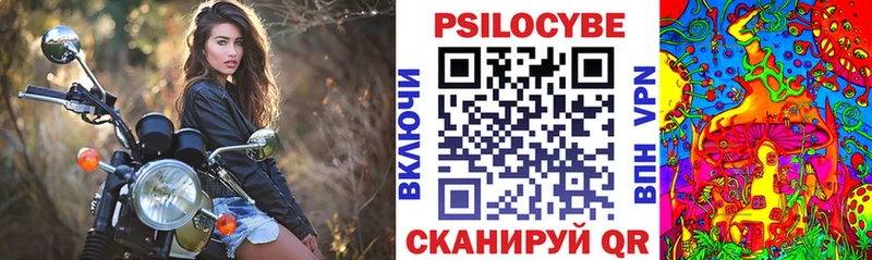 наркота Новомосковск Галлюциногенные грибы Cubensis